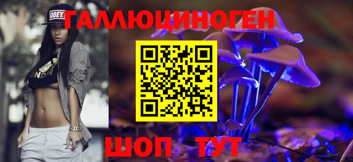 Шумерля  где купить наркоту  Вход с VPN  Псилоцибиновые грибы Psilocybine cubensis 